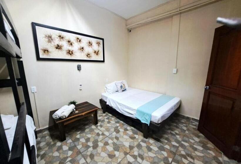 Семейный Номер, Hidden Jems Mahahual Hostel