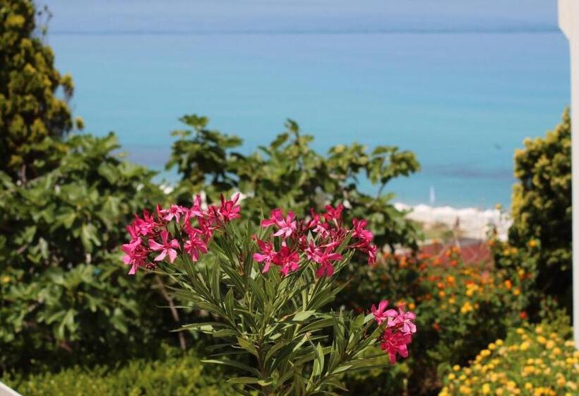 اتاق لوکس, Bv Kalafiorita Resort