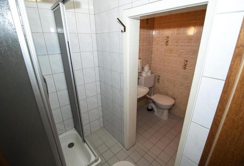 آپارتمان 1 خوابه با بالکن, Hostel Chillertal