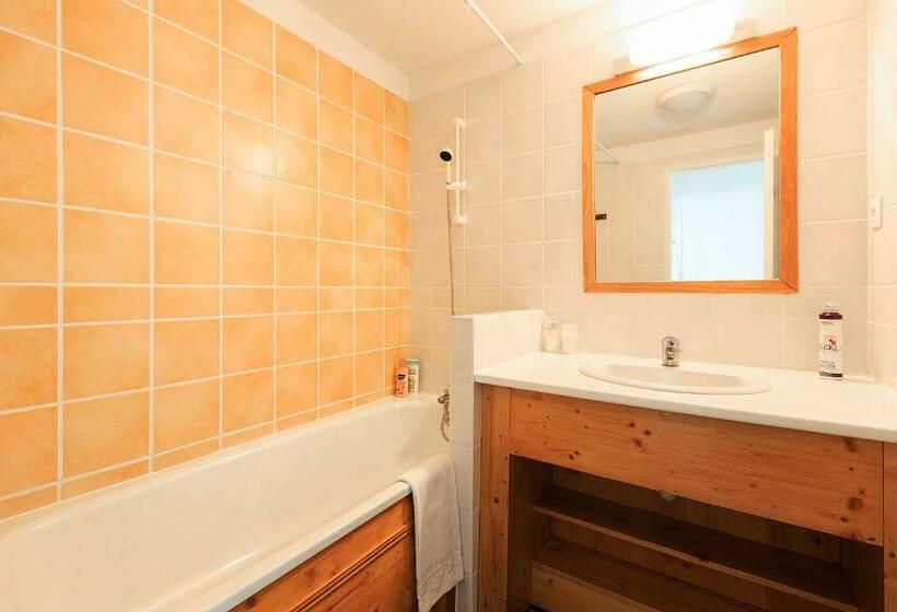 带1个卧室带观景的公寓, O   Sancy Résidence De Tourisme