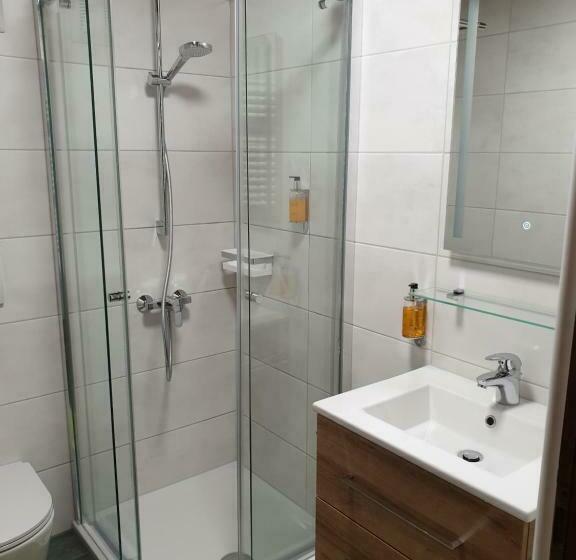 Номер Стандарт Индивидуальный с Балконом, Landgasthof Hotel Zehenthof