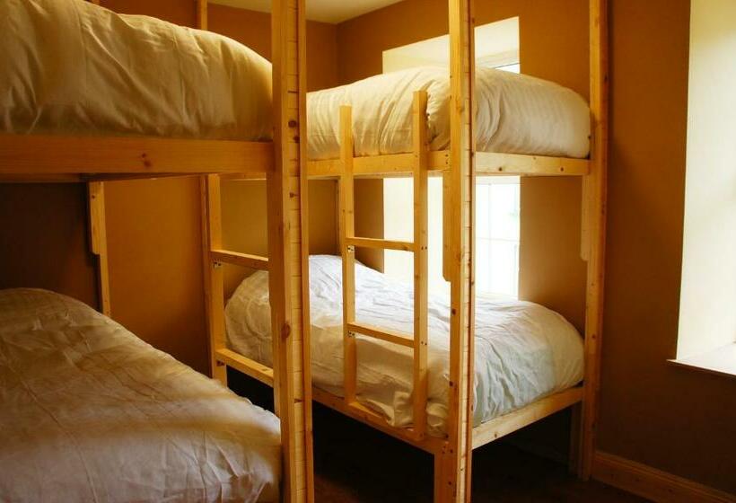 Четырехместный Номер Стандарт, The Black Sheep Hostel