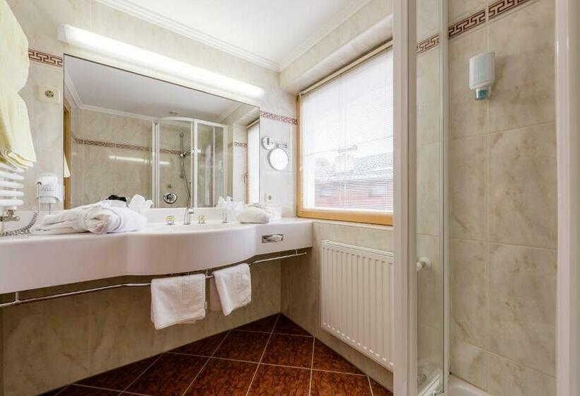 اتاق استاندارد با بالکن, Garni Serfauserhof