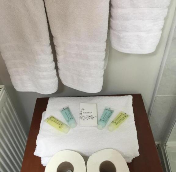 Семейный Номер, Padua Guest Accommodation Rosslare
