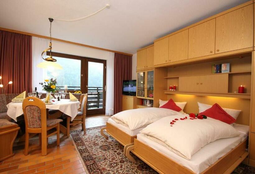 Студия Стандарт, Sporthotel Walliser