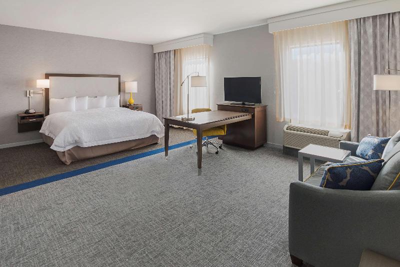 스탠다드 룸 킹사이즈 침대, Hampton Inn & Suites Colleyville Dfw Airport West
