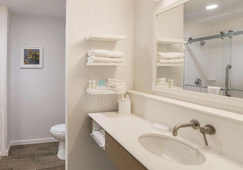 Стандартный Номер Кровать Кинг, Hampton Inn & Suites Colleyville Dfw Airport West