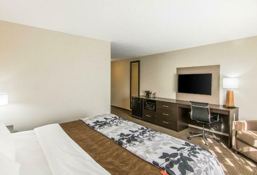 Стандартный Номер Кровать Кинг, Sleep Inn & Suites Westnear Medical Center