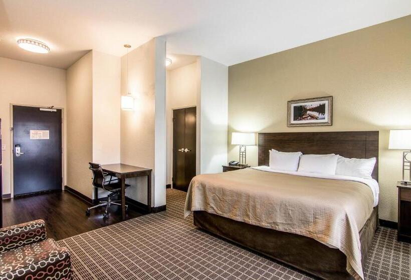 Люкс Адаптированный для Инвалидов, Sleep Inn & Suites Westnear Medical Center