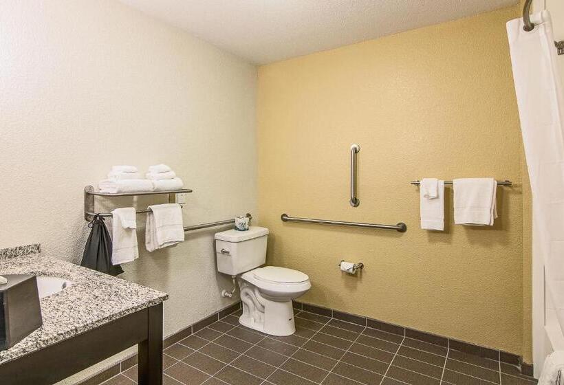 Люкс Адаптированный для Инвалидов, Sleep Inn & Suites Westnear Medical Center