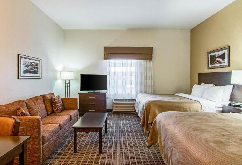 Люкс, Sleep Inn & Suites Westnear Medical Center