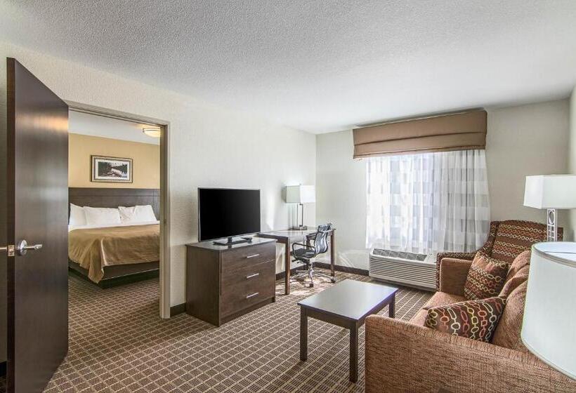 Люкс, Sleep Inn & Suites Westnear Medical Center