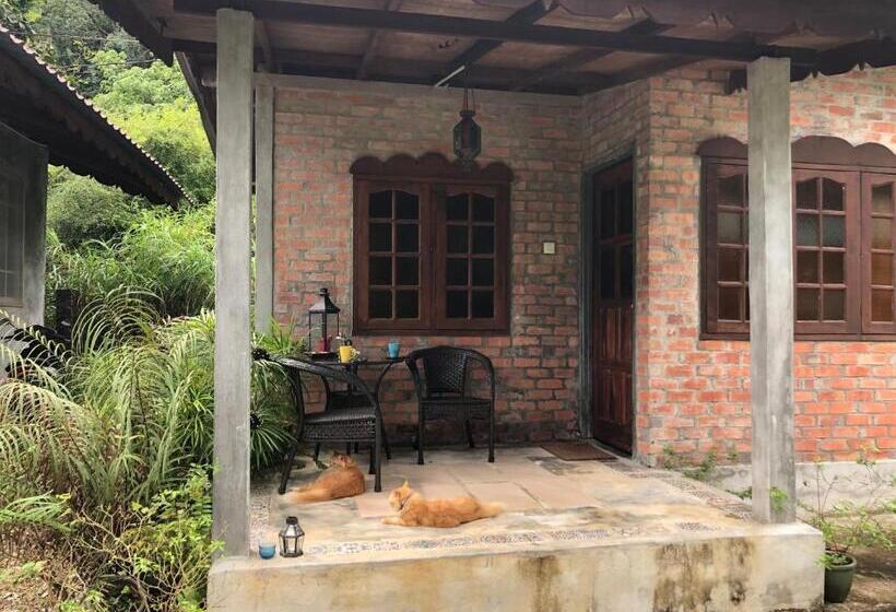 Standard Værelse King Size Seng, Pondok Keladi Langkawi Guesthouse