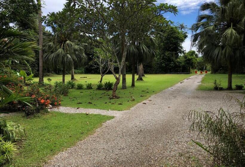 Standard Værelse King Size Seng, Pondok Keladi Langkawi Guesthouse