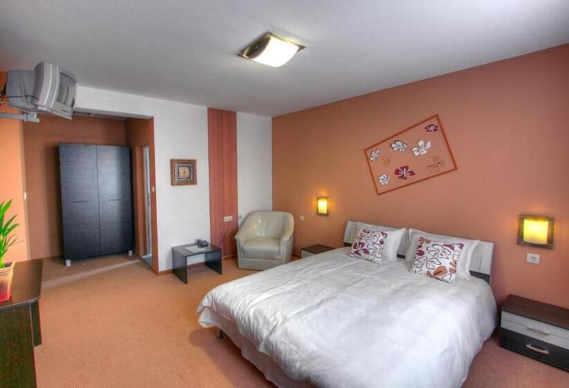 اتاق استاندارد, Family Hotel Mania