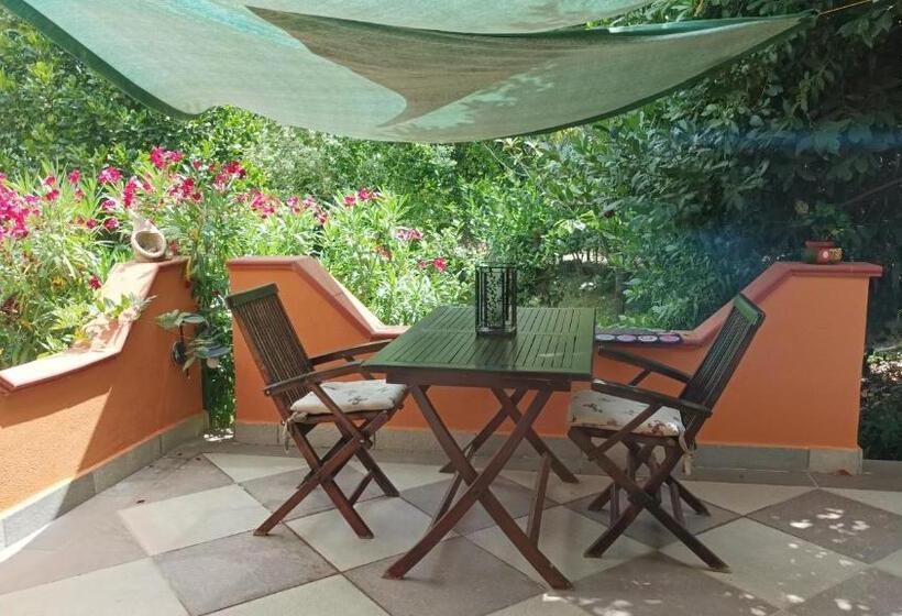 استودیوی استاندارد, B&b Meladormo