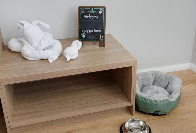 غرفة قياسية, Hive Hotel, Moruya