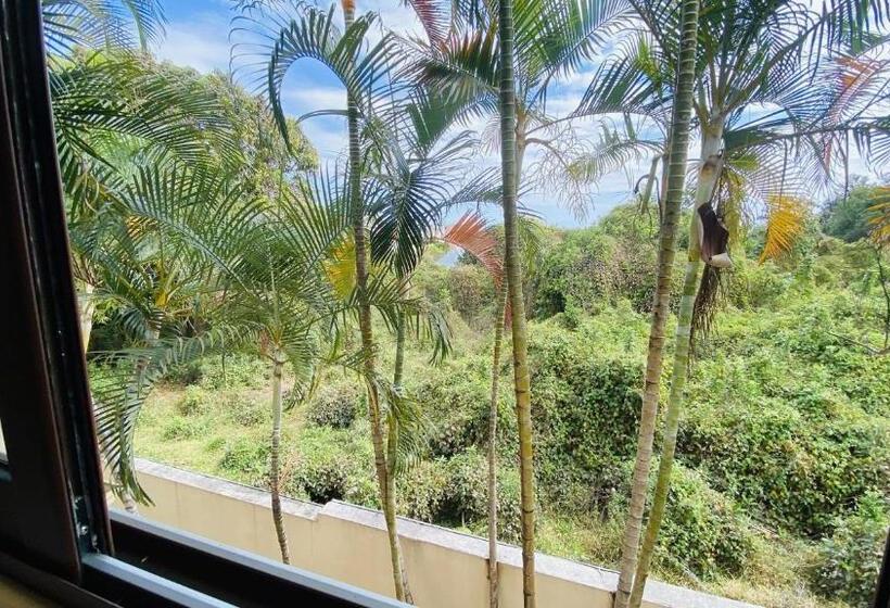 اتاق استاندارد با تخت بزرگ, Coliver   Coliving A La Réunion