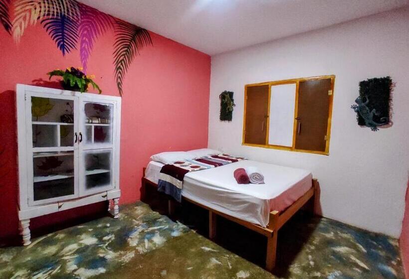 스탠다드 룸, Casa Gloria Hostal