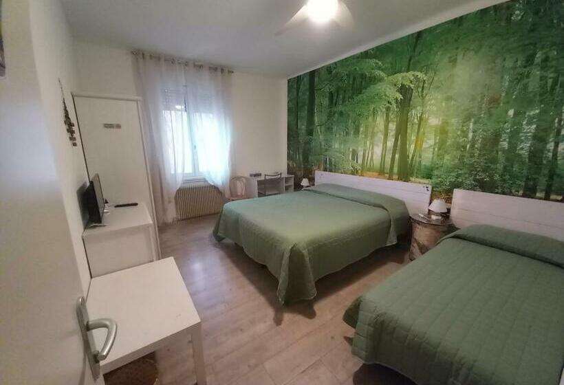 اتاق اکونومی, Bed & Breakfast Al Nettuno
