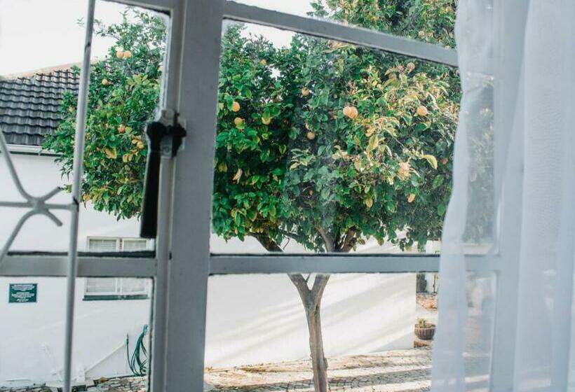 디럭스 룸, Cummings Guesthouse