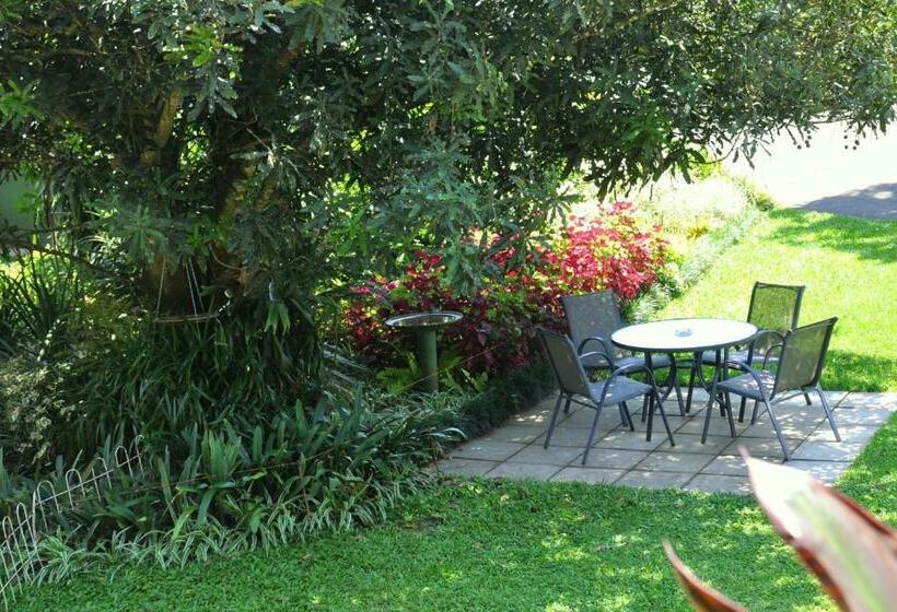 Номер Стандарт, Birds Of Paradise B&b