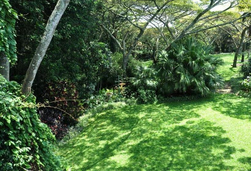 غرفة قياسية مزوَّدة بشُرفة, Birds Of Paradise B&b