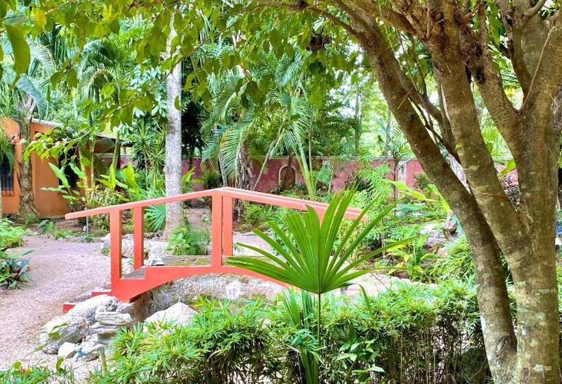 四人标准间, Gardenhotel Macan Ché B&b