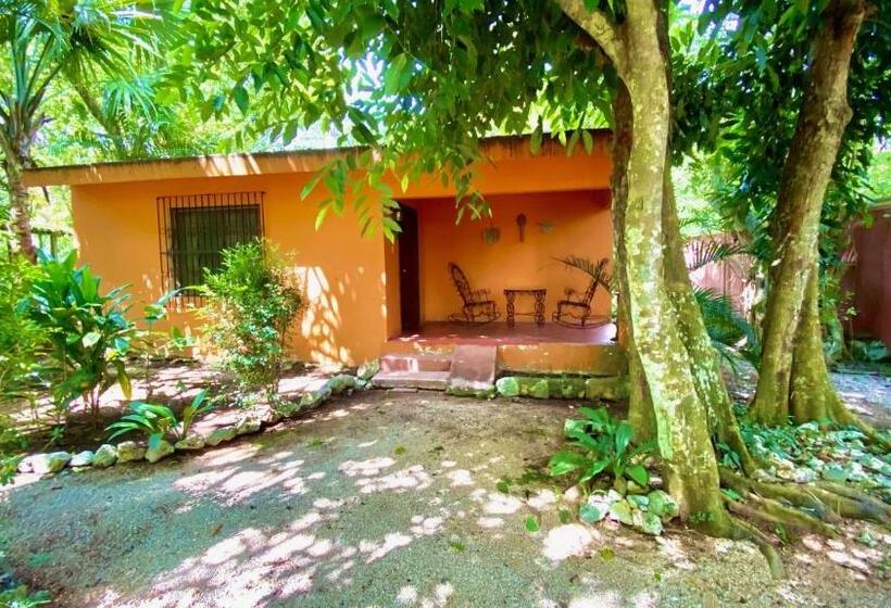 四人标准间, Gardenhotel Macan Ché B&b