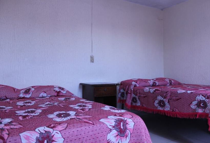 Quarto standard, Plaza Aleman