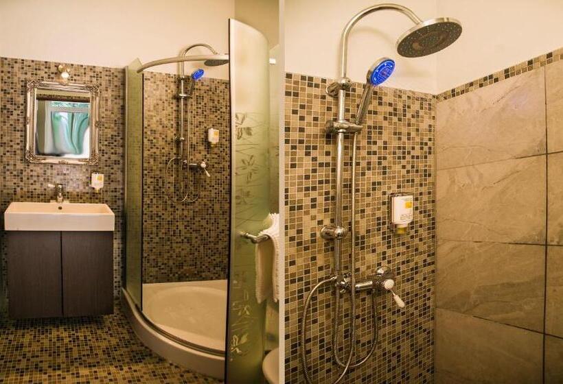 اتاق استاندارد با تخت بزرگ, Dům U Pikové Desítky