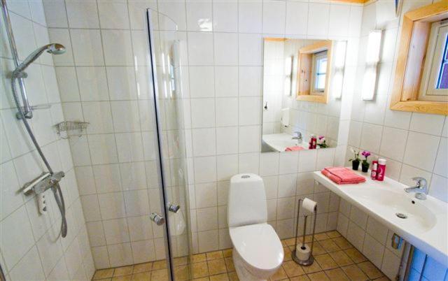 Апартаменты 3 Спальни, Grønolen Fjellgard