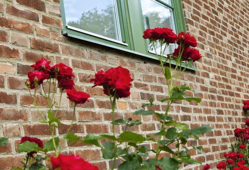 اتاق استاندارد سه تخته با سرویس بهداشتی مشترک, Kvibergs Vandrarhem   Hostel