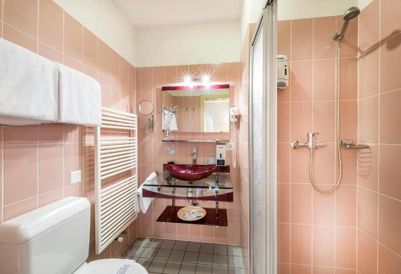 Номер Стандарт Вид на Озеро, Albergo Ristorante La Palma