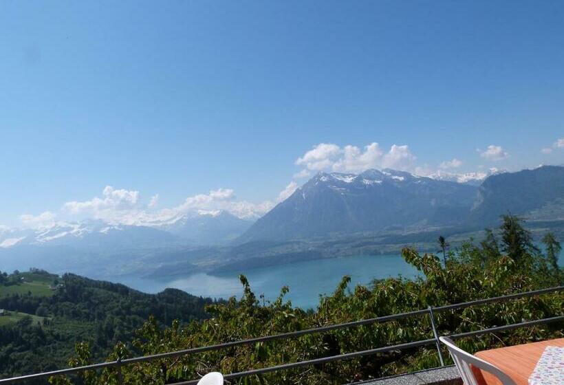 스탠다드 룸, Bellevue