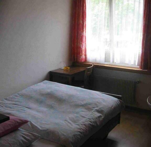 标准单人间共用浴室, Restaurant Stechelberg Bed & Breakfast