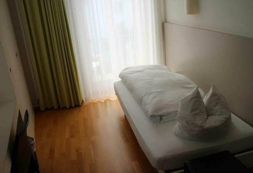 اتاق استاندارد یک نفره, Seminar Hotel Rigi Am See
