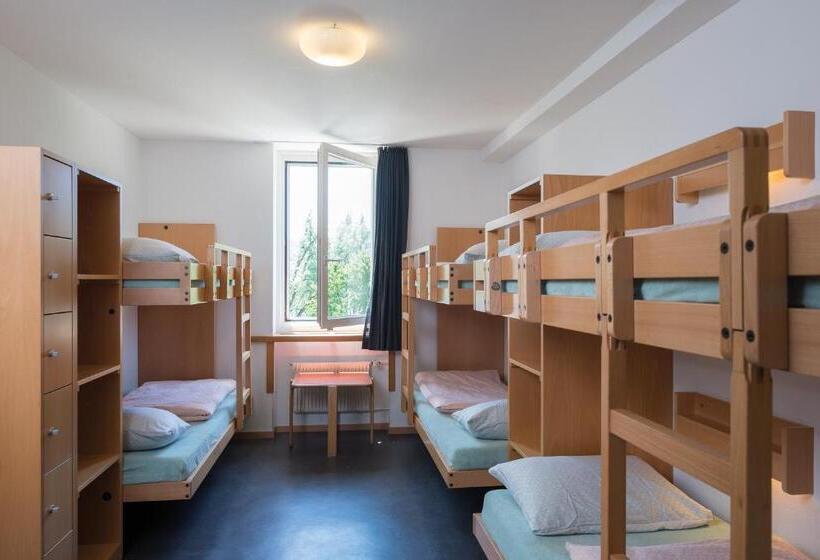 Номер Стандарт Совместная Ванная, Stein Am Rhein Youth Hostel