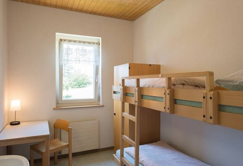 Номер Стандарт Совместная Ванная, Stein Am Rhein Youth Hostel