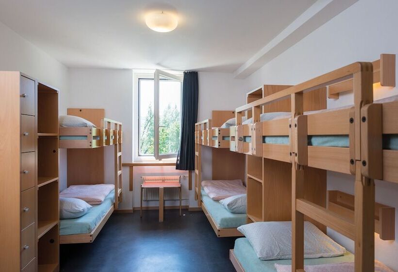 Номер Стандарт Совместная Ванная, Stein Am Rhein Youth Hostel