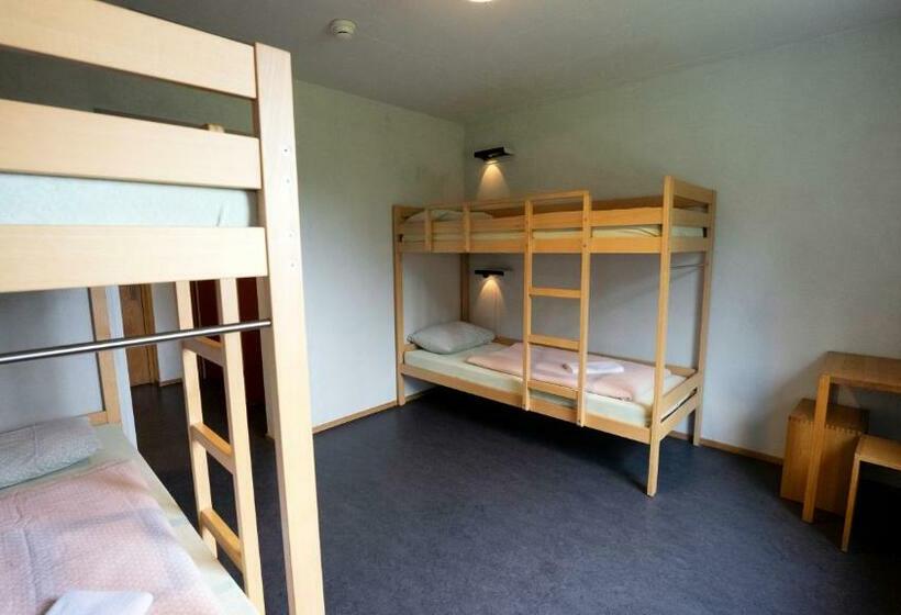 标准四人间共用浴室, Valbellalenzerheide Youth Hostel