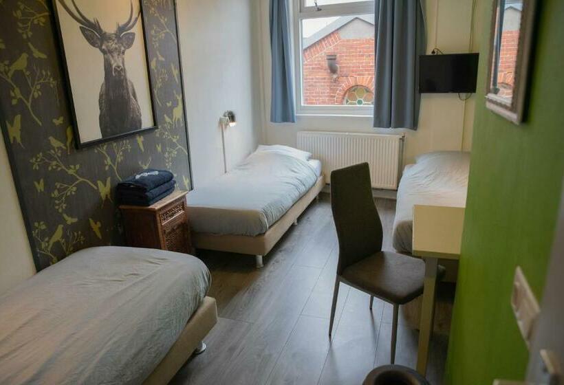 Номер Стандарт Трехместный, Simplon Hostel