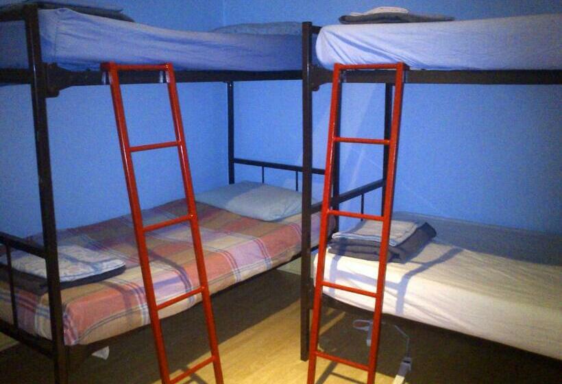 Bed in Shared Room with Shared Bathroom, The Only Backpacker S Inn