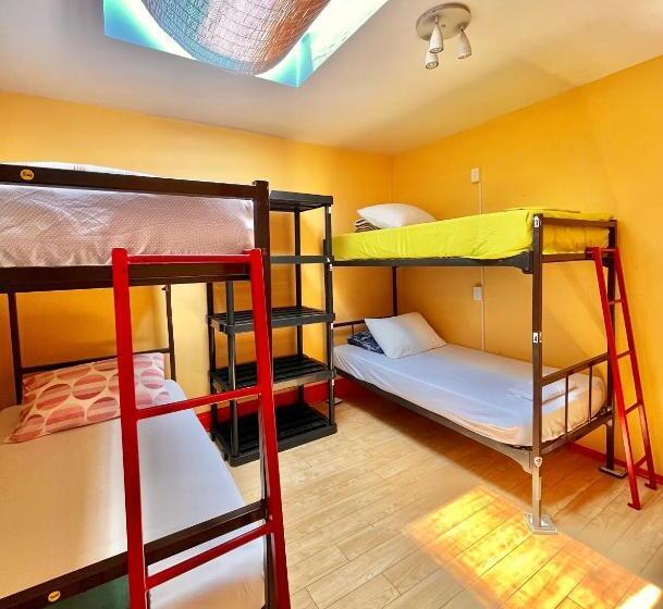 Bed in Shared Room with Shared Bathroom, The Only Backpacker S Inn