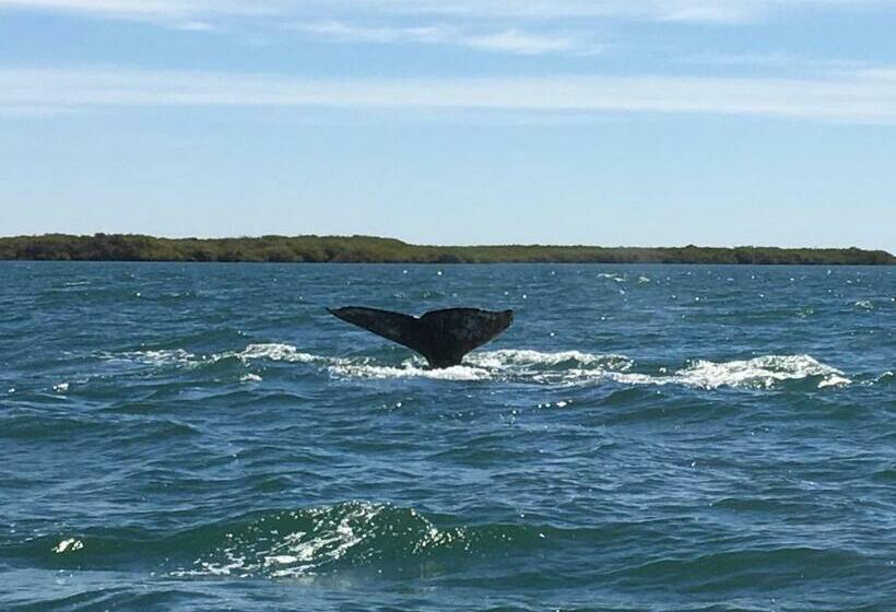 סוויטה דלוקס, Corbett Guest Suites