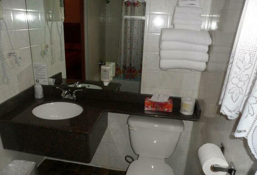 Стандартный Номер Кровать Кинг, The Silver Birch Motel