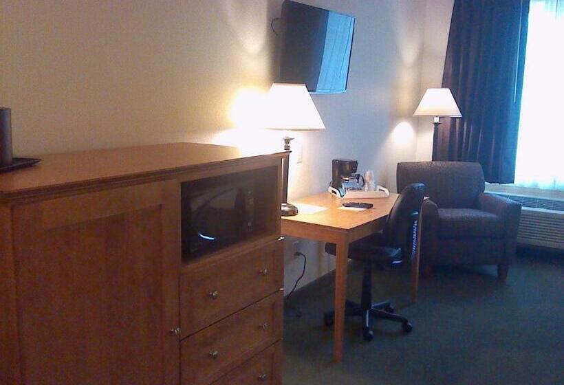 キングサイズベッドのスタンダードルーム, Junction Inn Suites & Conference Center