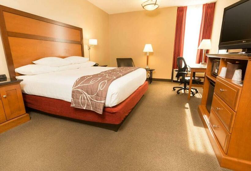 适用于残疾人士的豪华房间, Drury Inn & Suites Springfield Mo