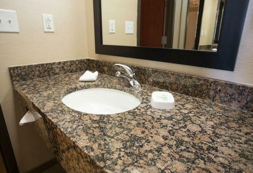 带大床的豪华间, Drury Inn & Suites Springfield Mo