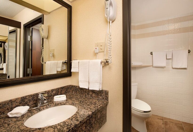 豪华房间, Drury Inn & Suites Springfield Mo